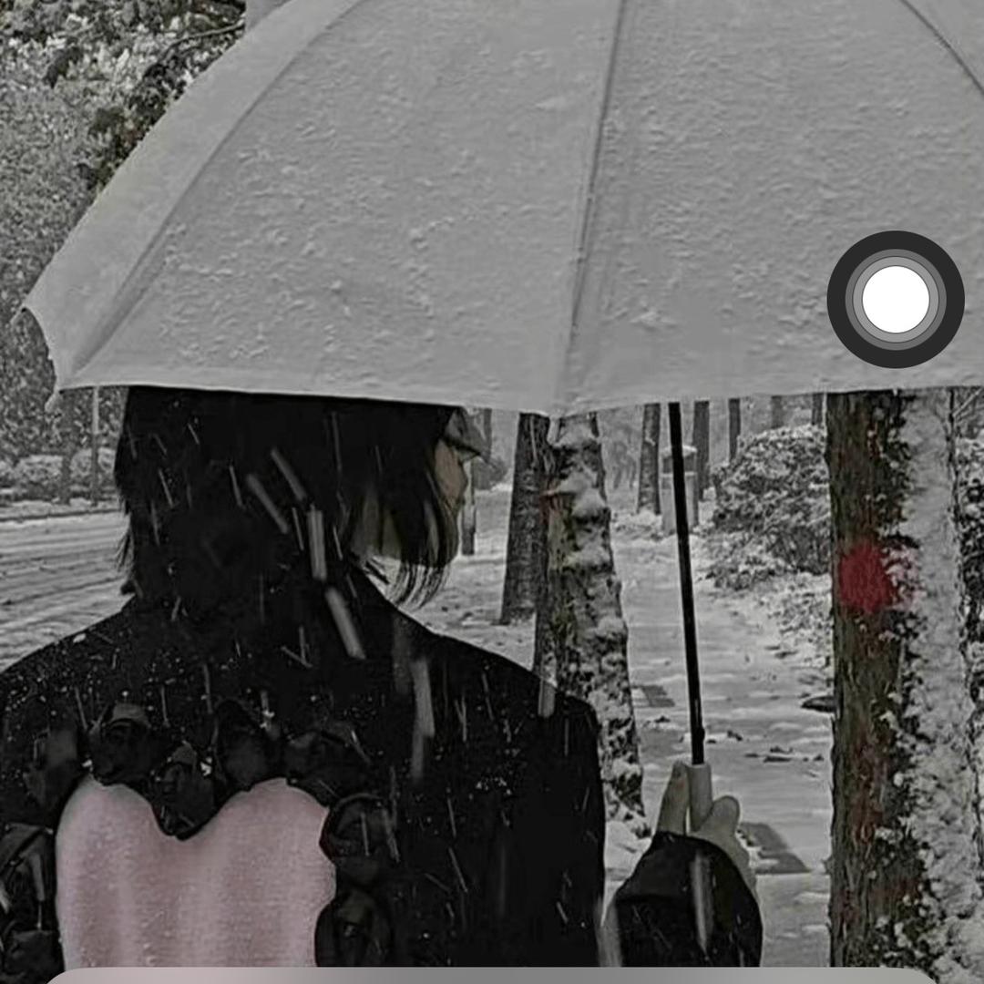 泽