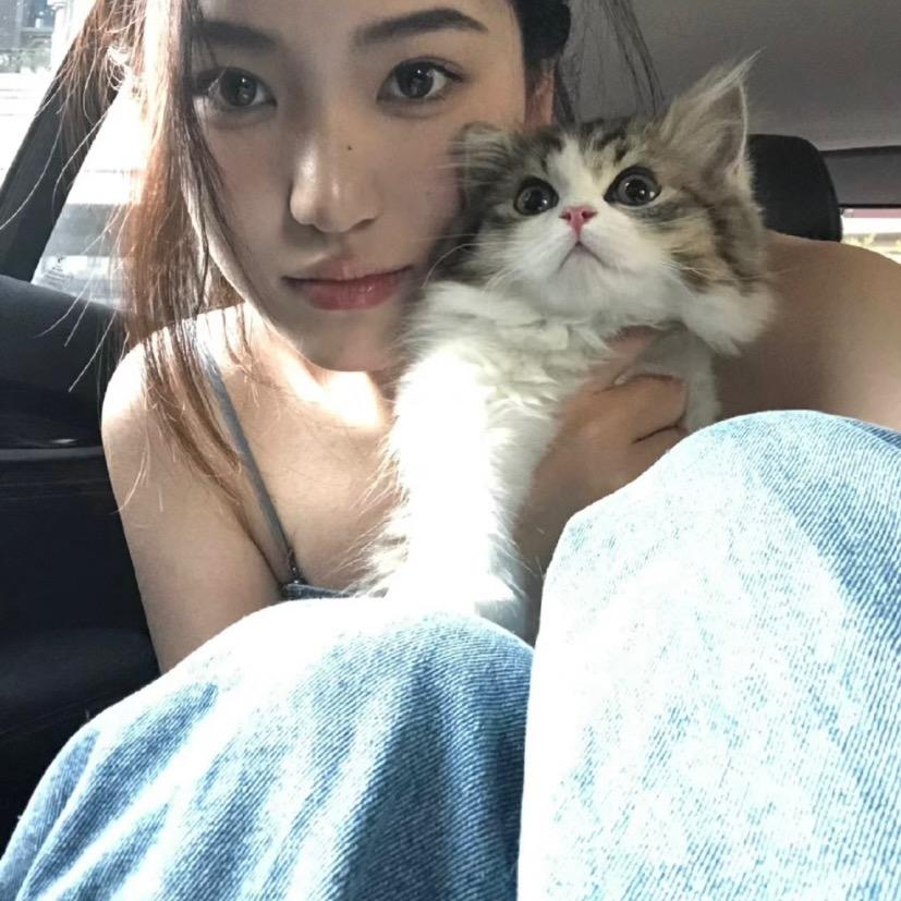 想长高的多多