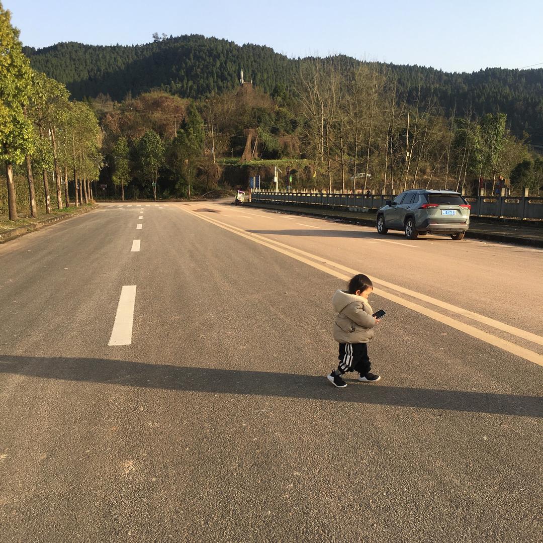 小蚂蚁柴油汽油四驱车