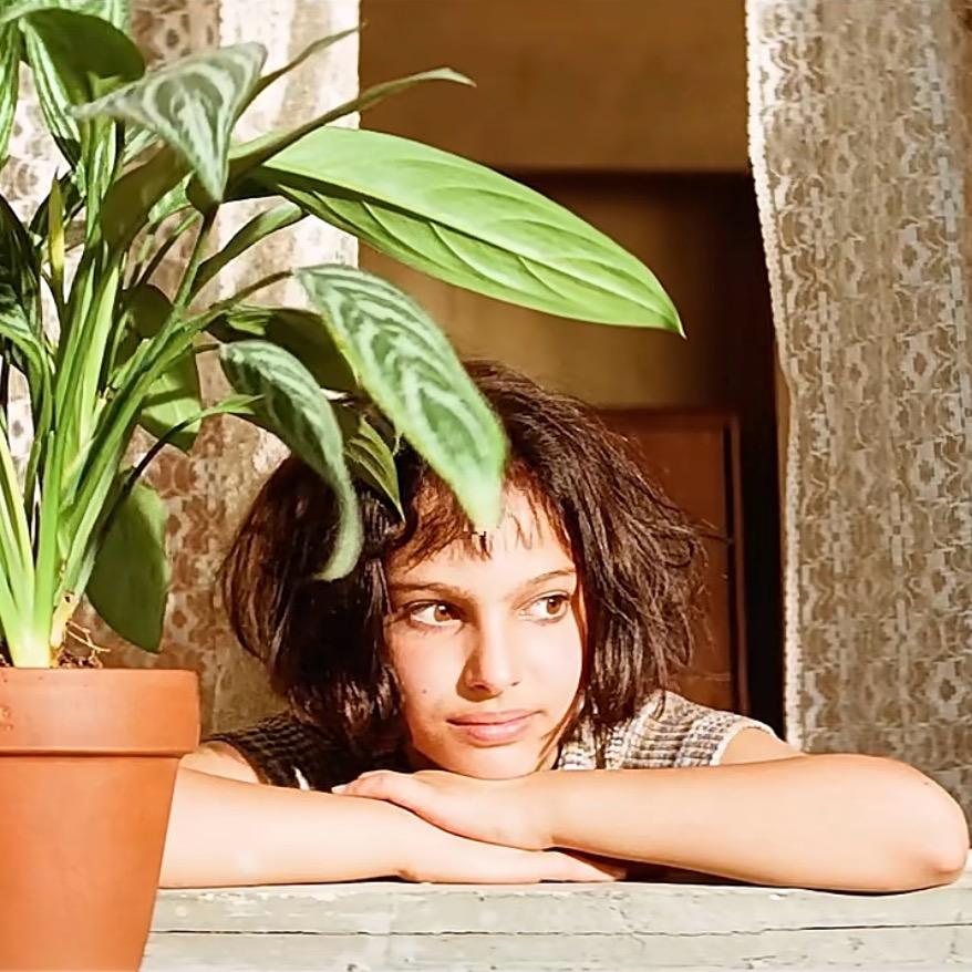 陈&Cheng（关必回）