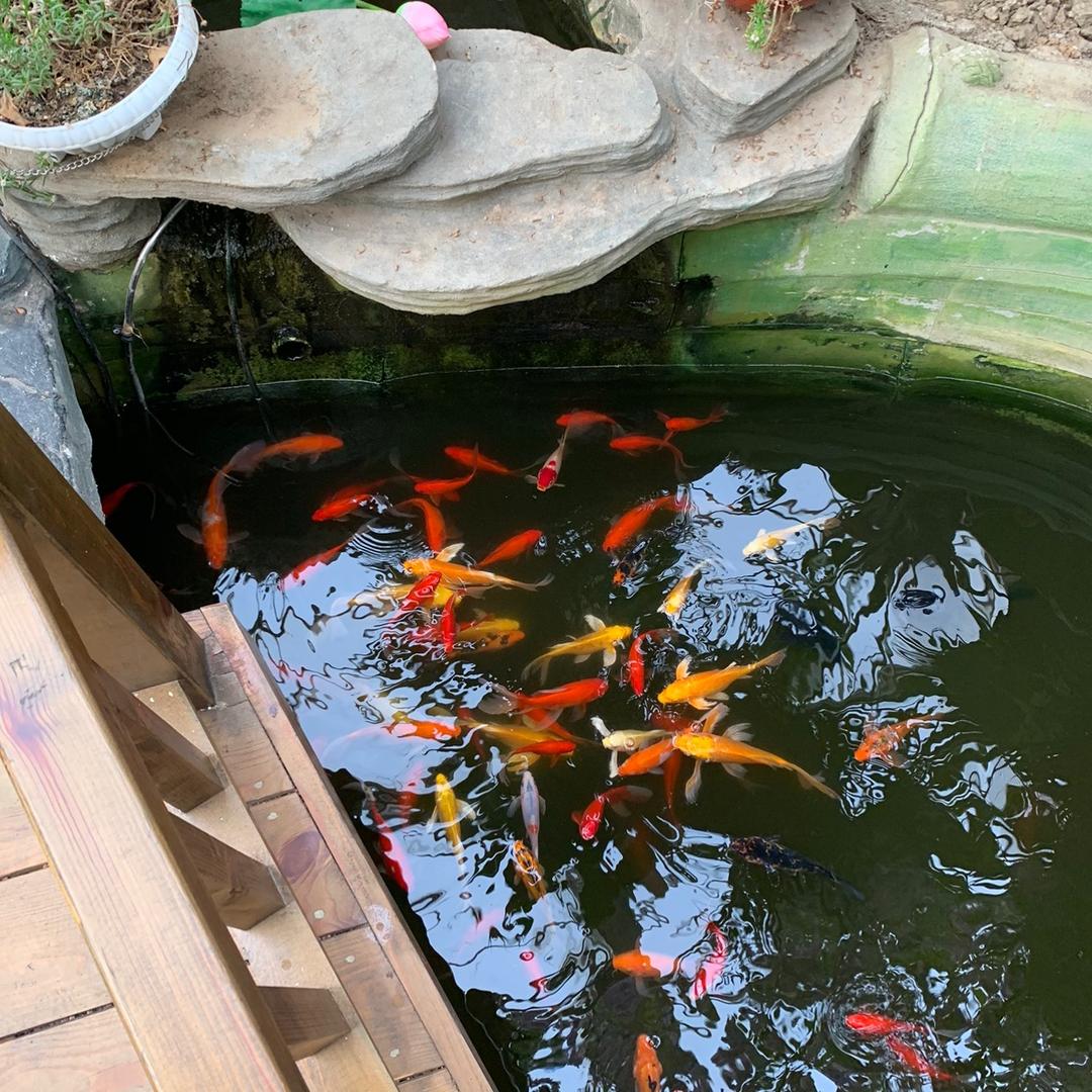 瞬间永恒