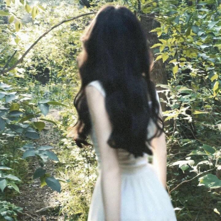 岁岁禧（锦鲤版）