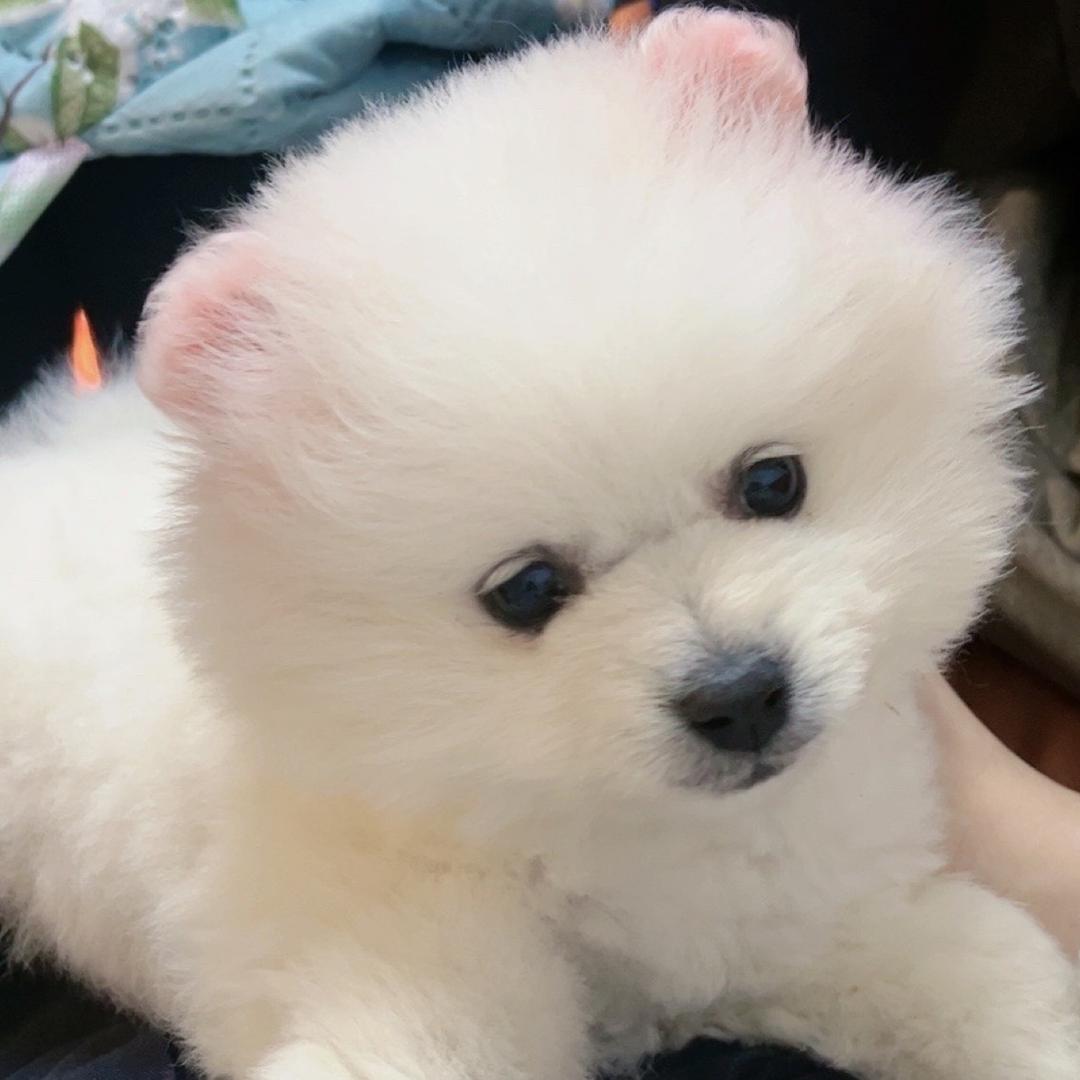 ❤️久而久之❤️