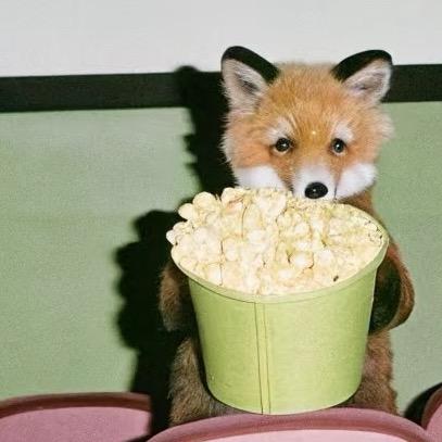 狐狐阿啾（拒绝擦边女拒绝交友版）