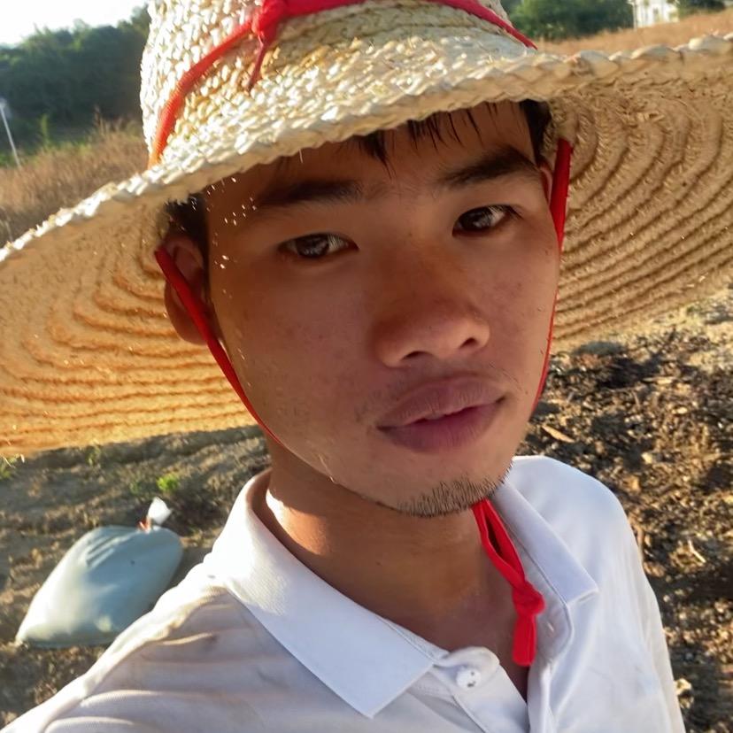 农村小龙