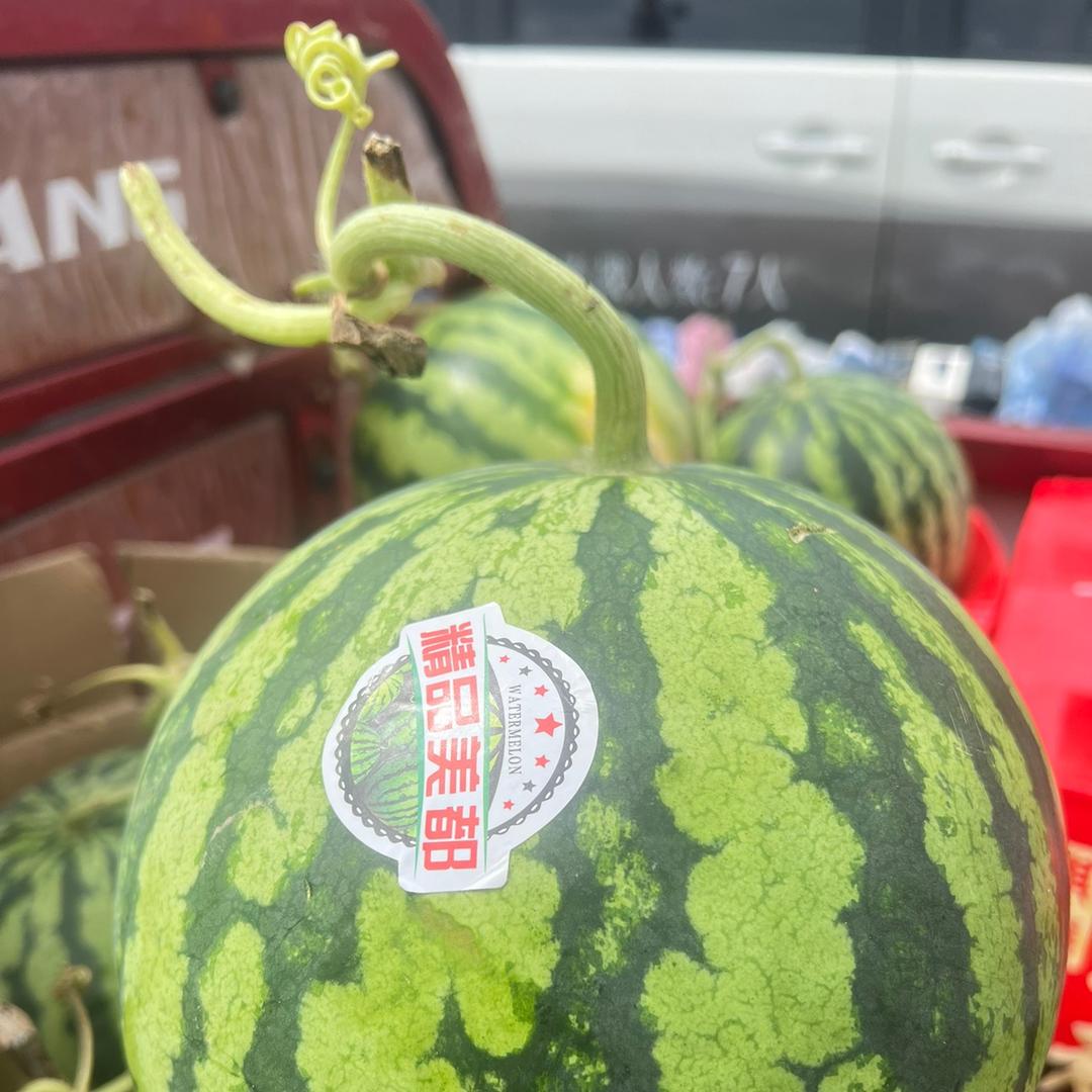 果然有你