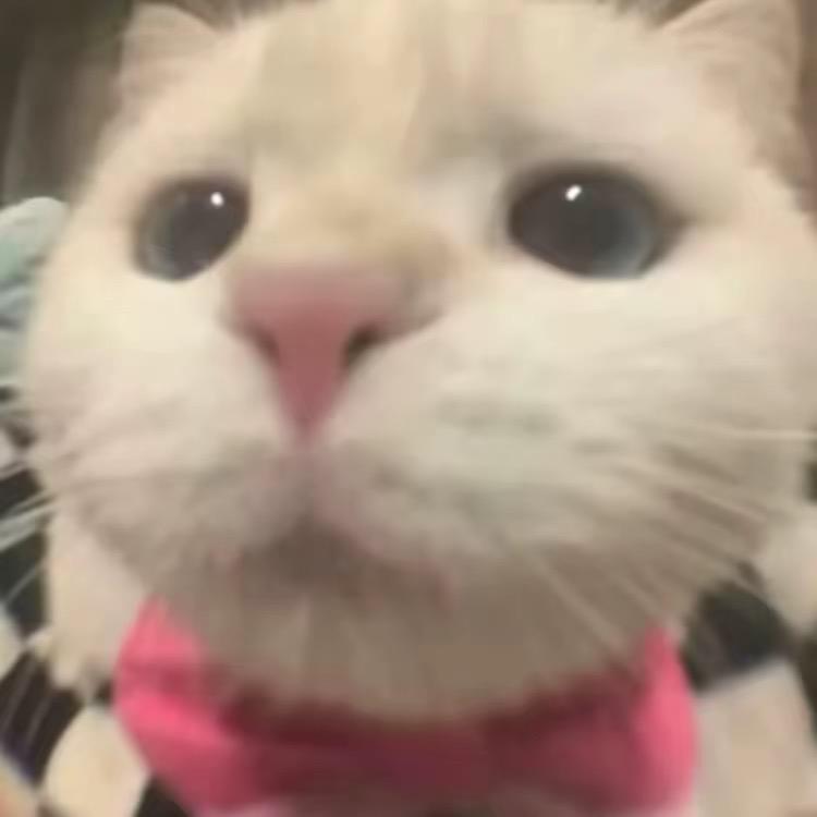7119