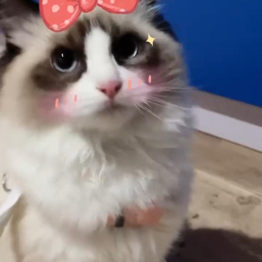 一个头像