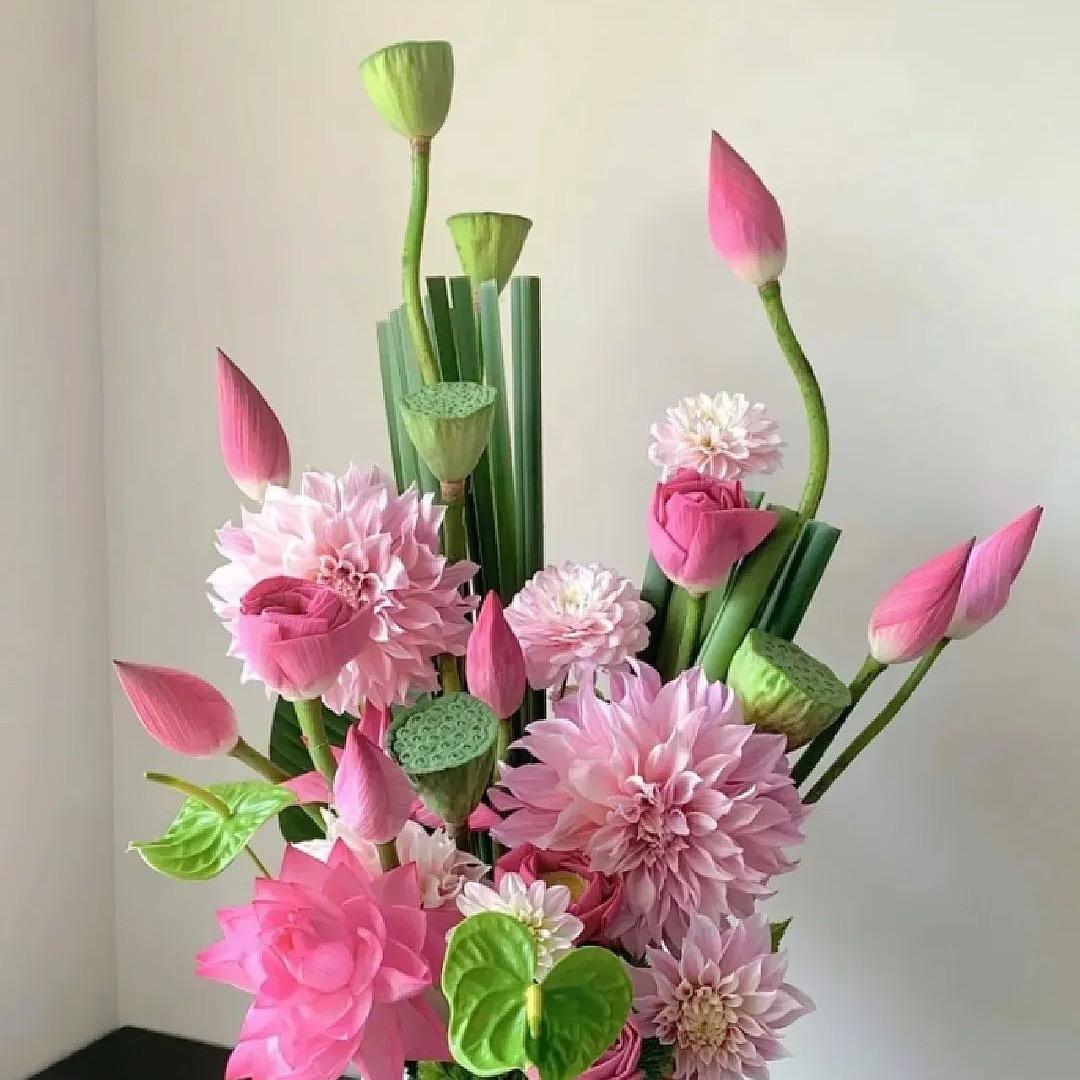 花香白牡丹