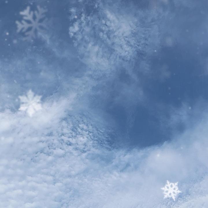 我在你家
