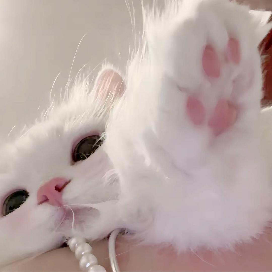 臭嘎儿.