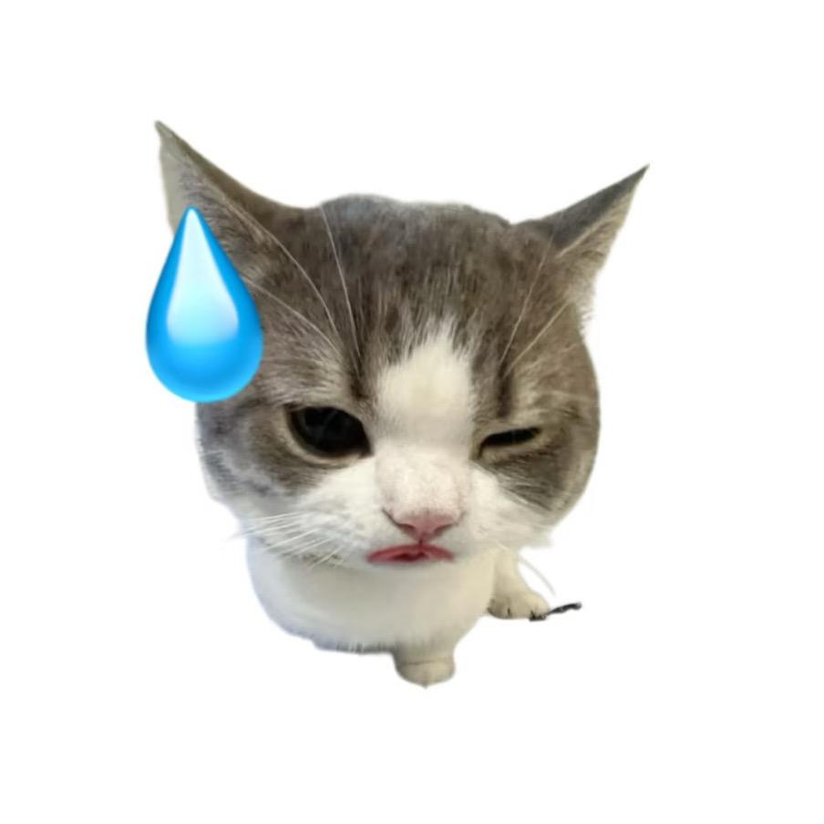 下一页更香