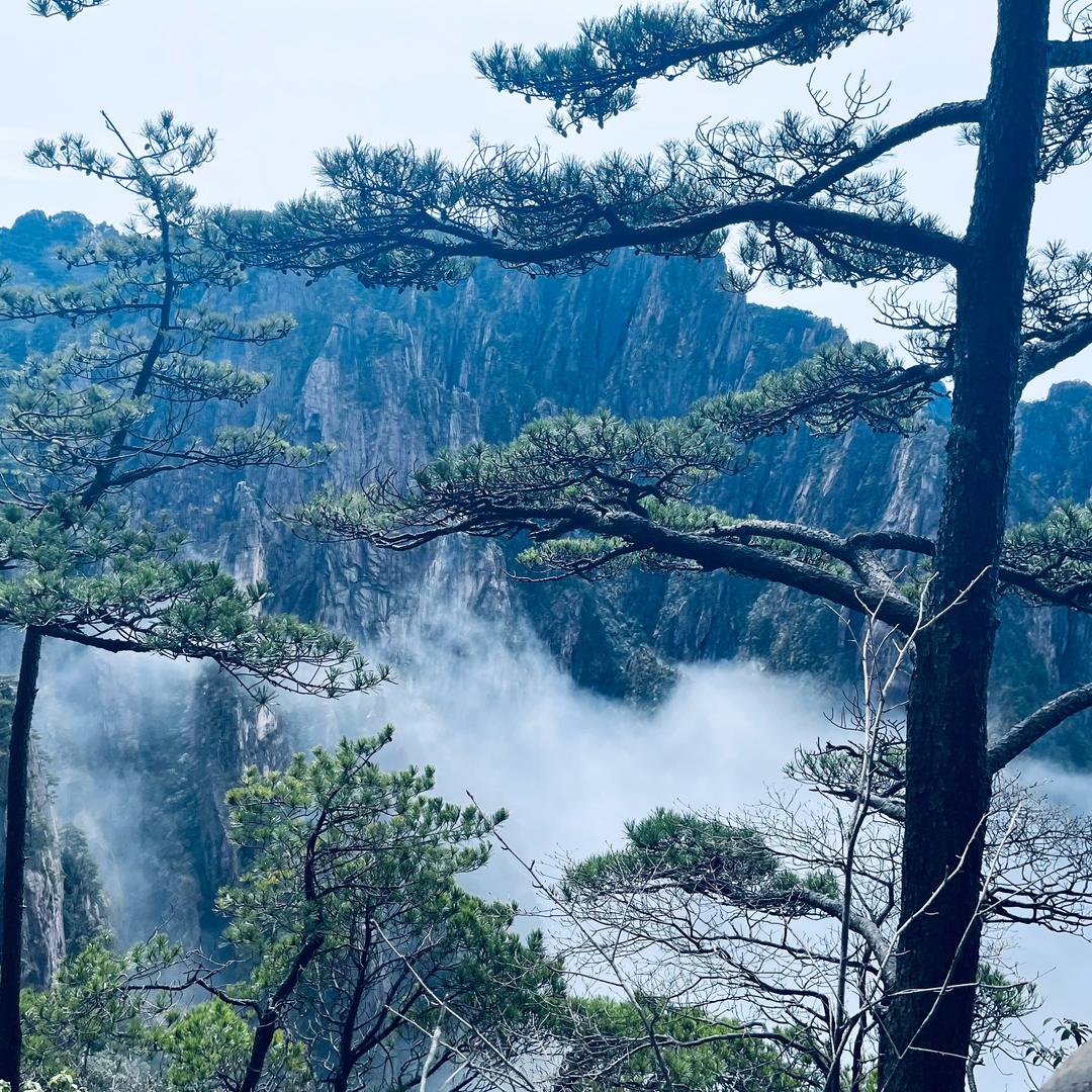 莱昂纳多，福堪街