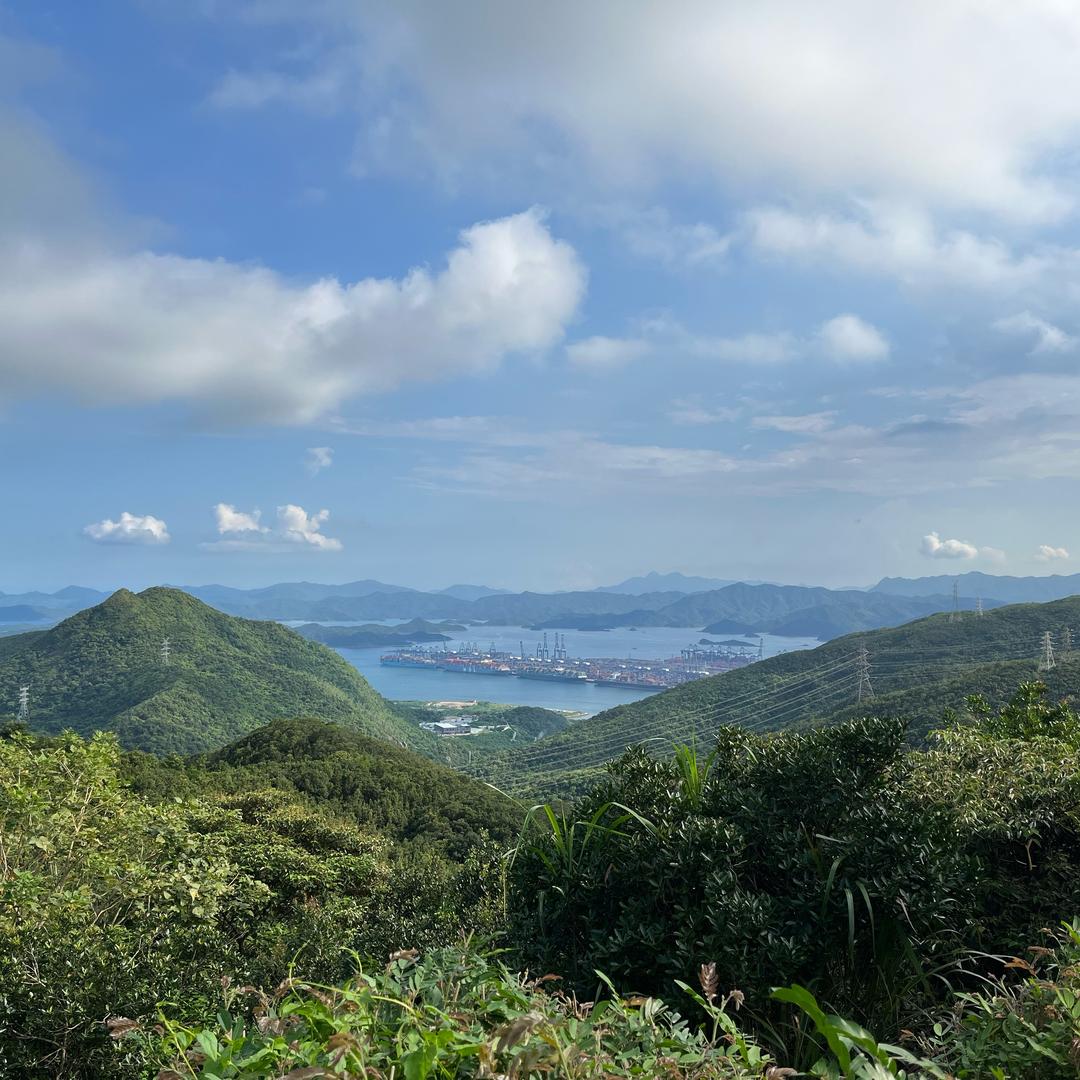 烟清花落