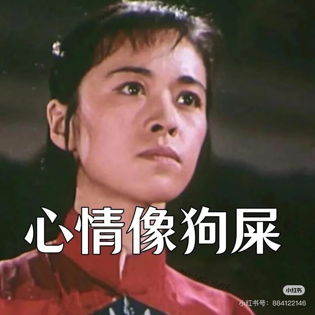 心情像狗屎