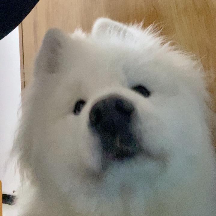 为什么不问问