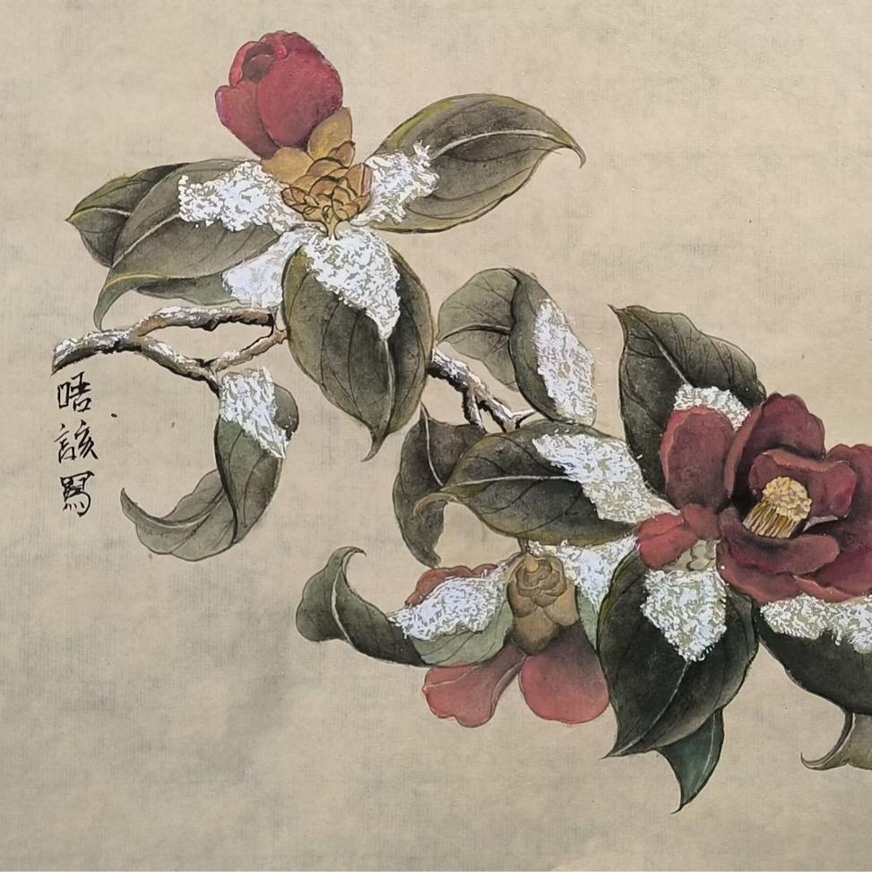 佛宝奴