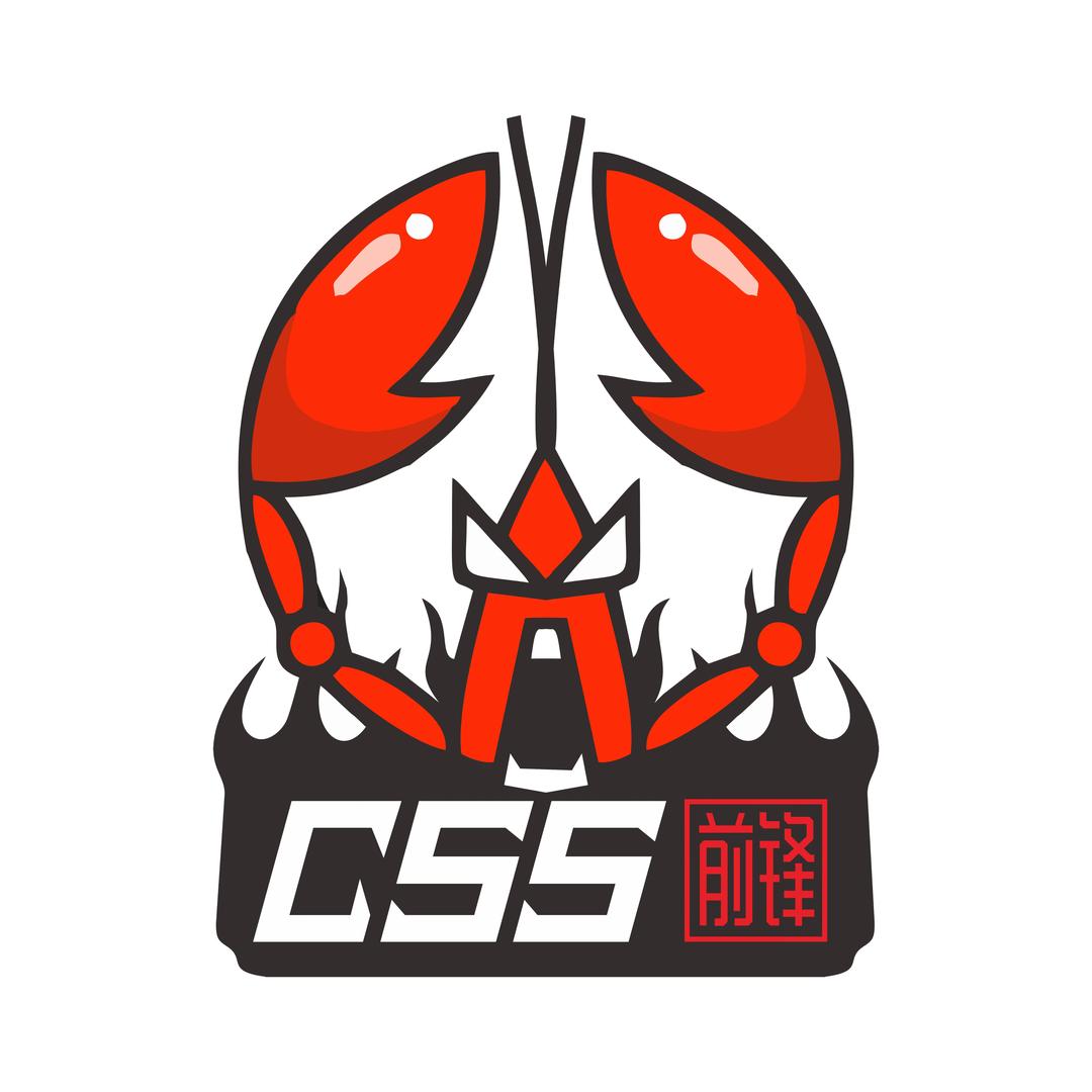 长沙前锋CSS