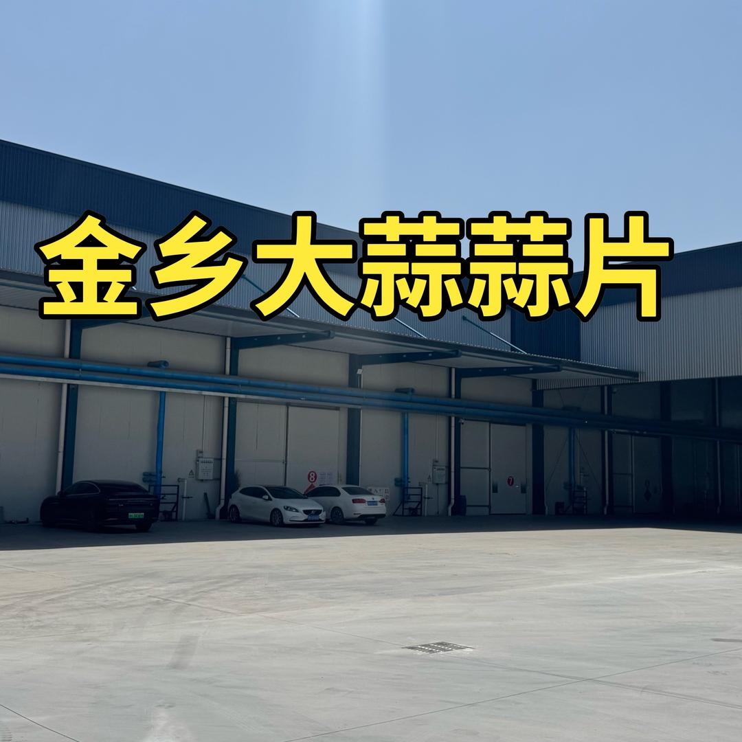 金乡宏祥大蒜蒜片
