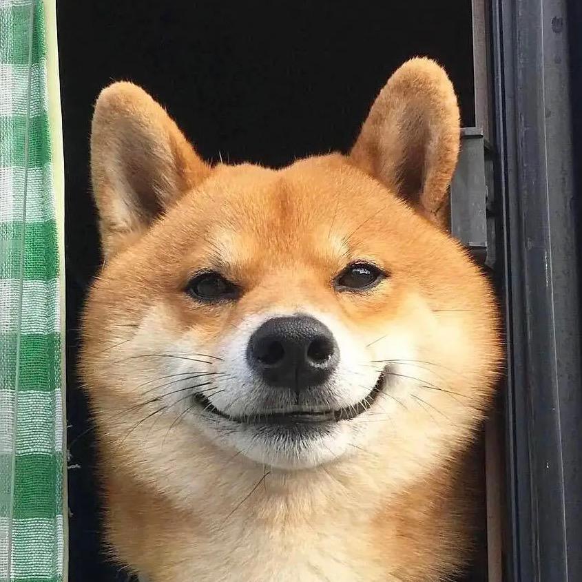 张sir.