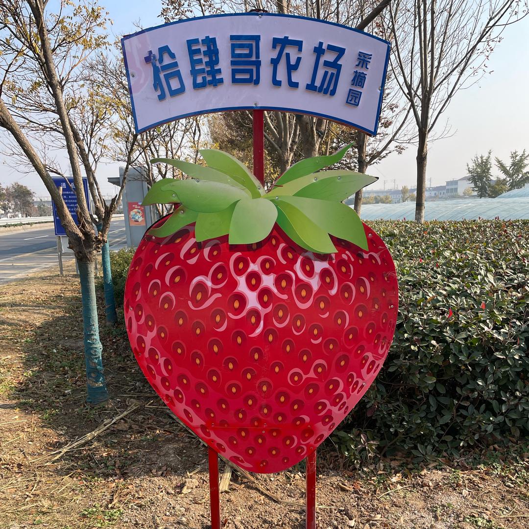 环南草莓园-拾肆哥