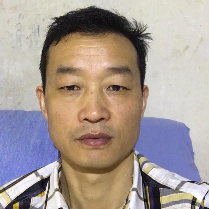 北飞的雁