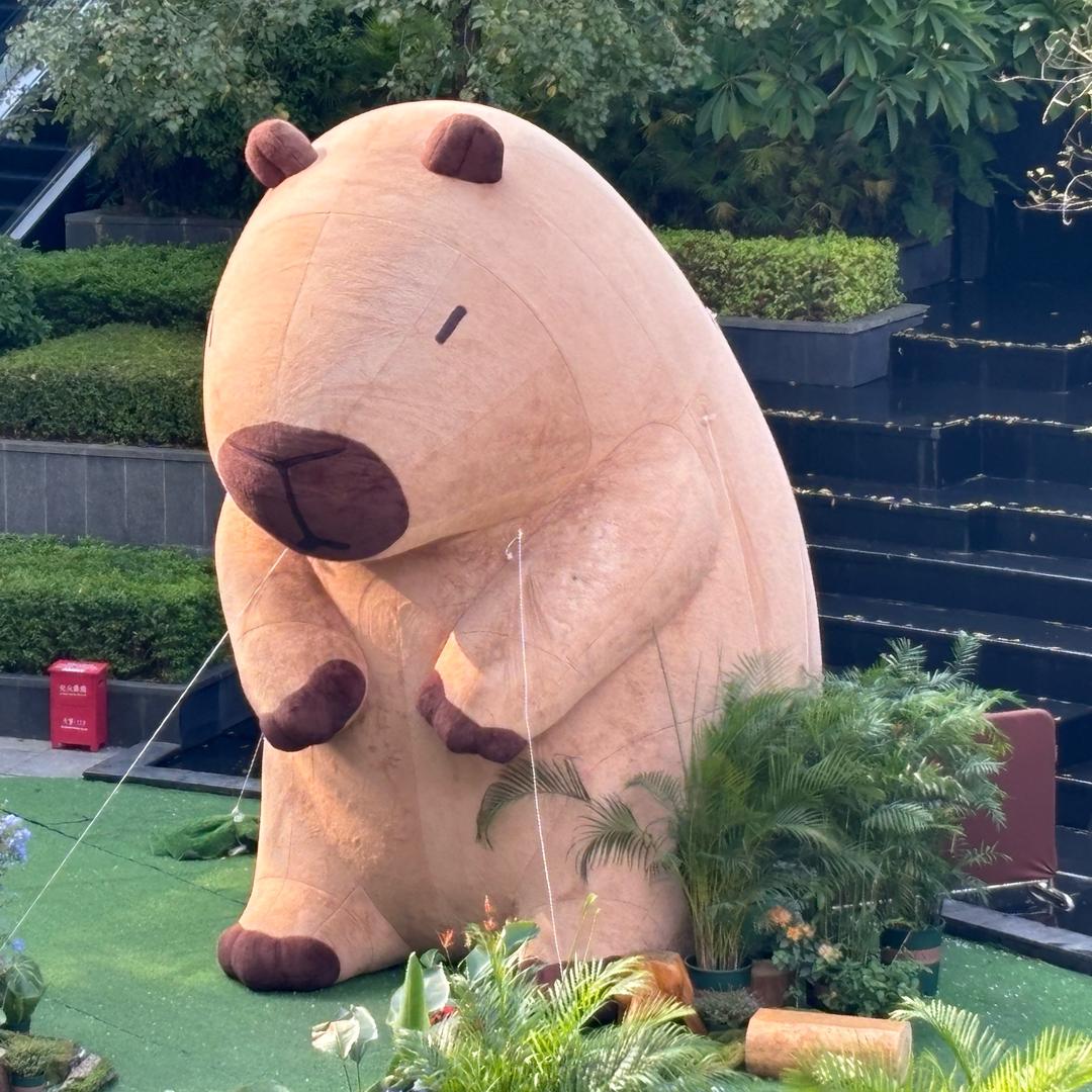 天使降临啵呤阿东