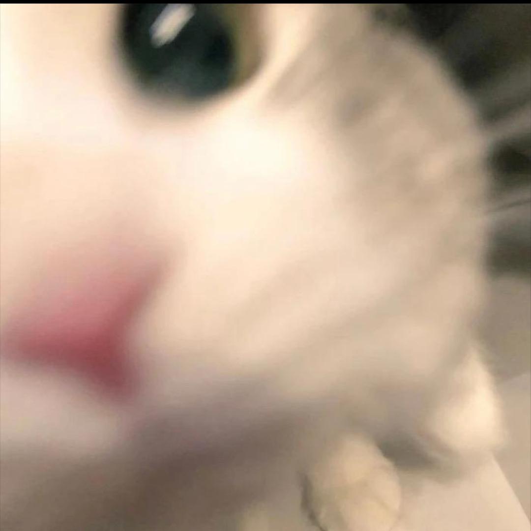 宝儿