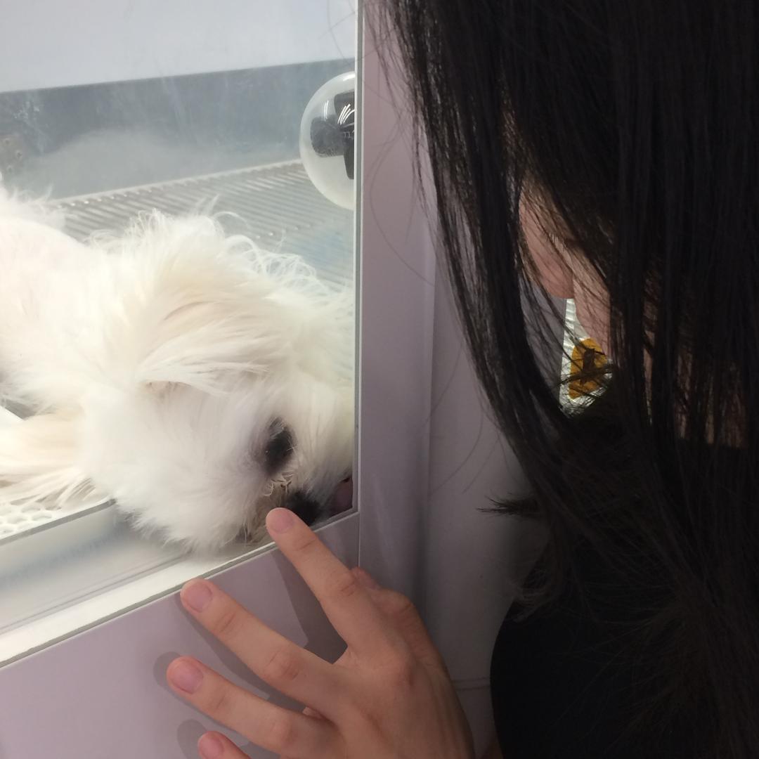 小鹿超温柔