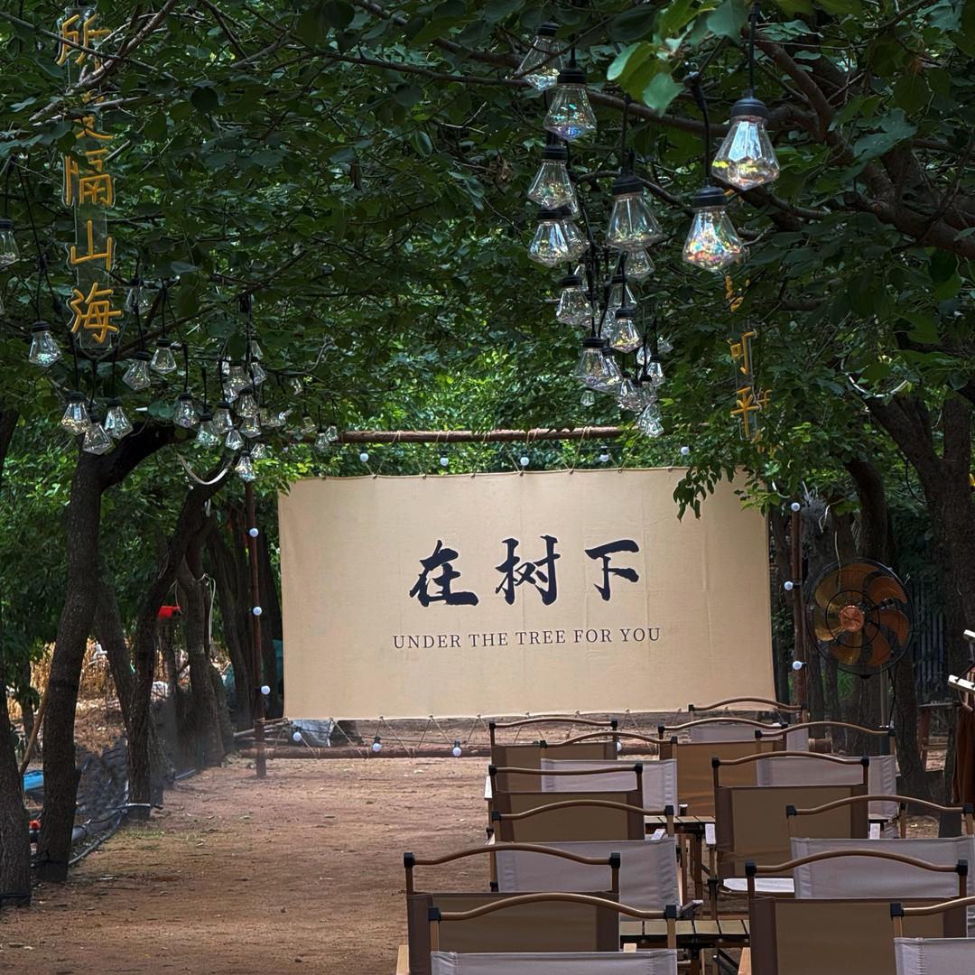 是刘大辉吖