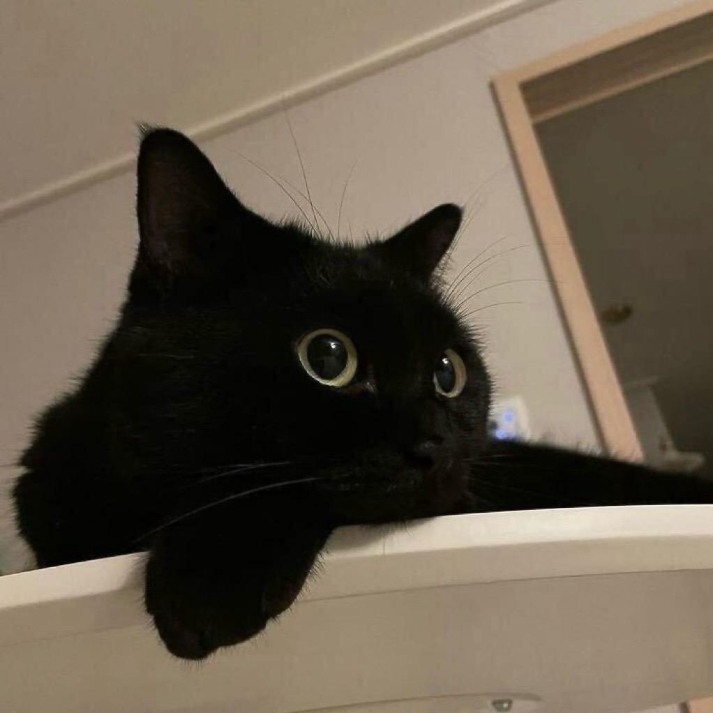 ᴢ_ɪɪɪ^