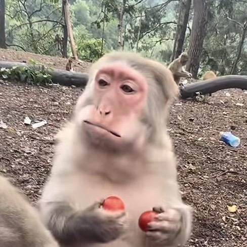 比奇堡男神