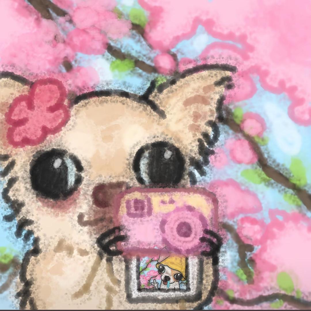 洋芋泥🐑💨