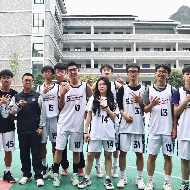 草莓的班级日记