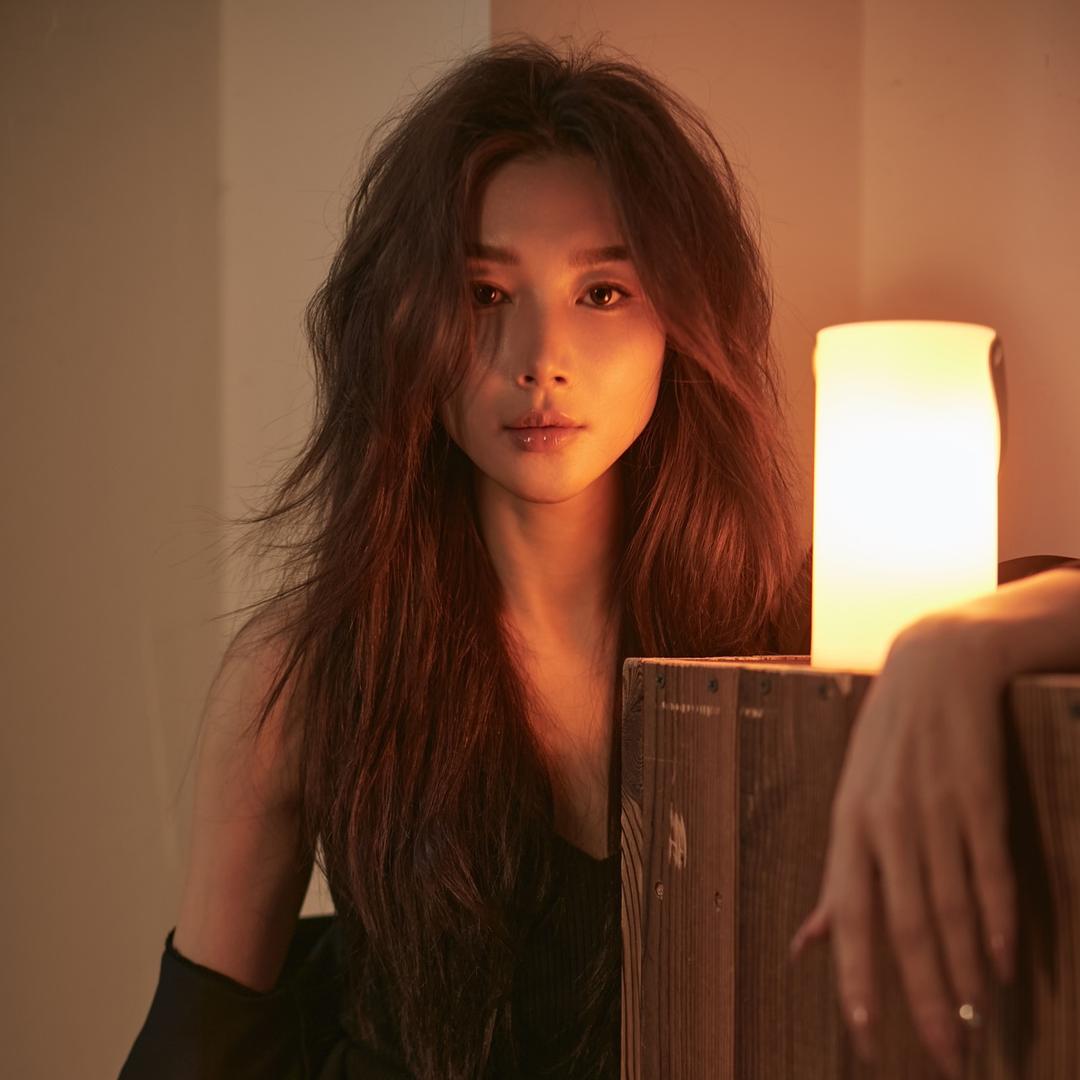美丹Mayya Plus