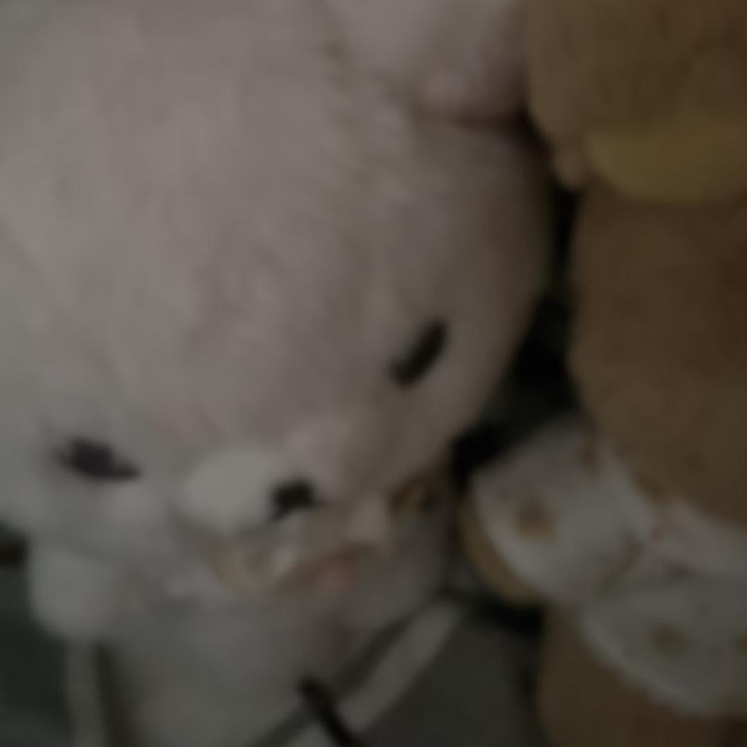 kiyo