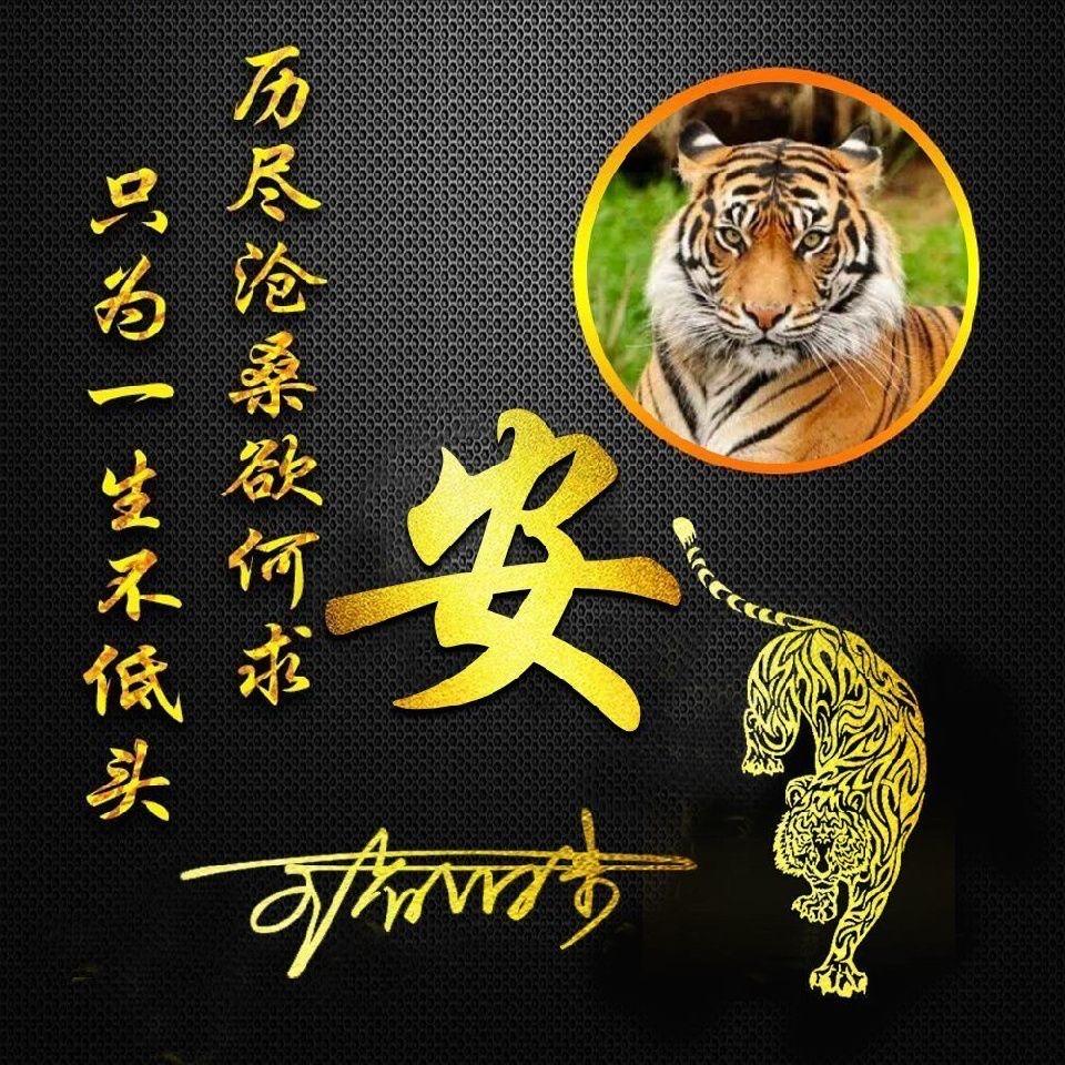 ゛ 安先生. ᴗ·🕊️ 💋