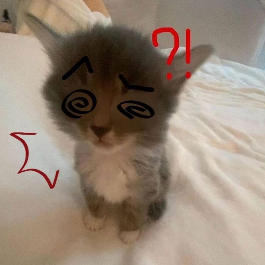 清蒸草莓蛋糕卷