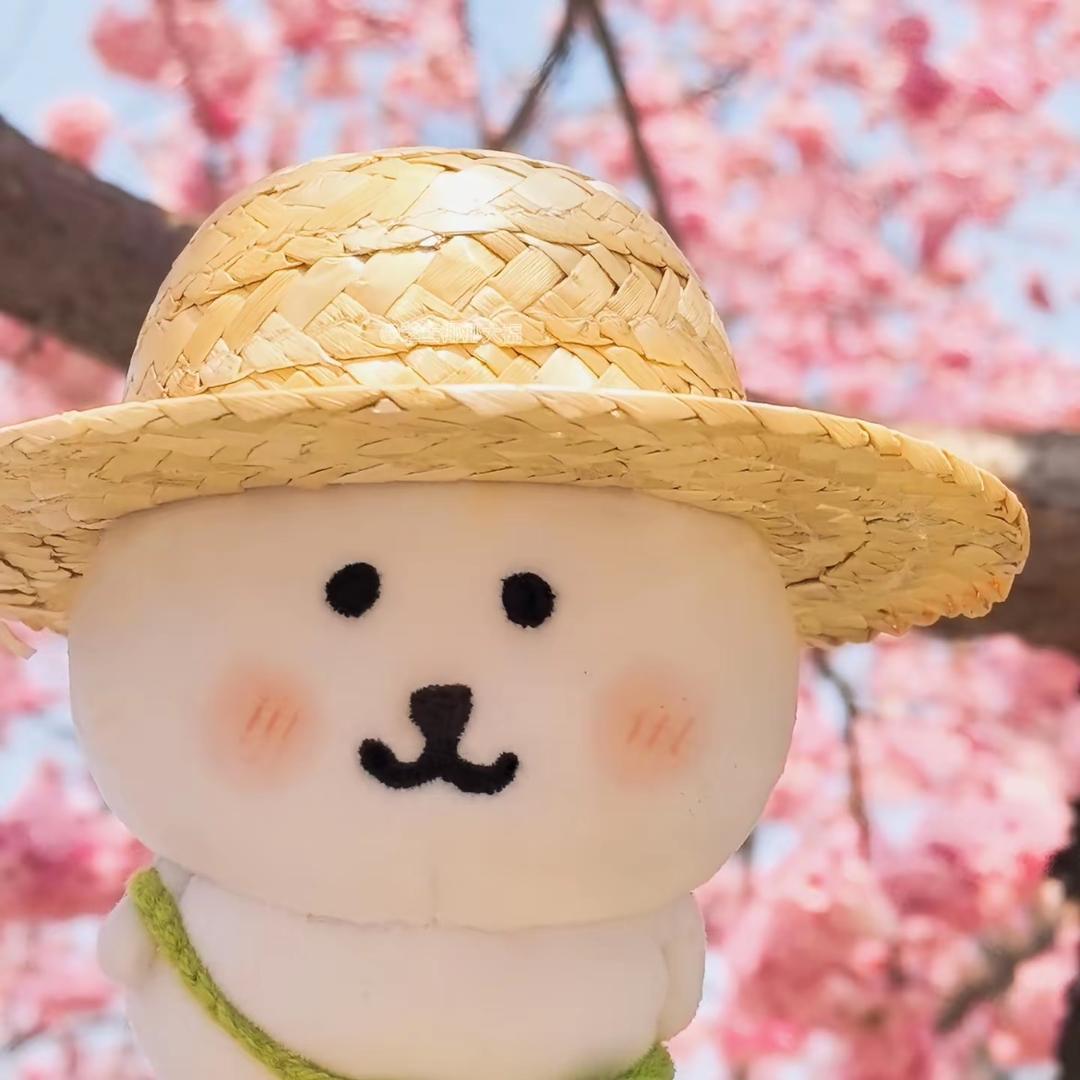 咪咪摸