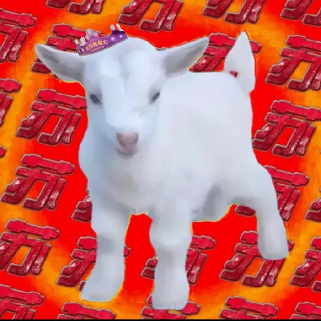 羊不失