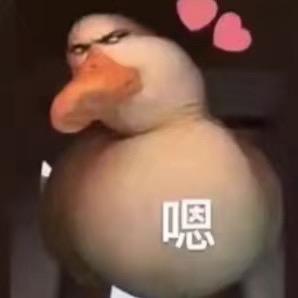 严重脸盲患者