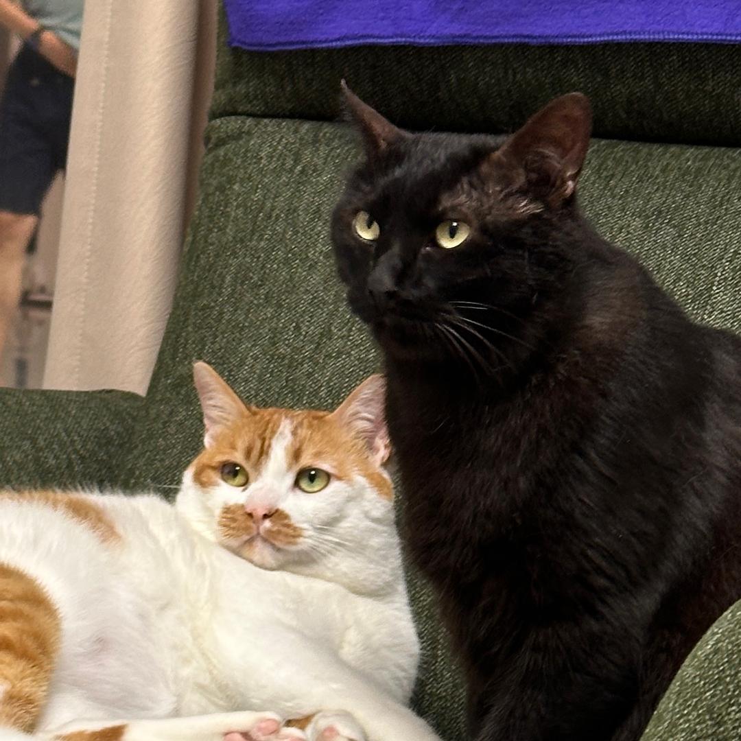 姚力荣妈妈（家有二宝）