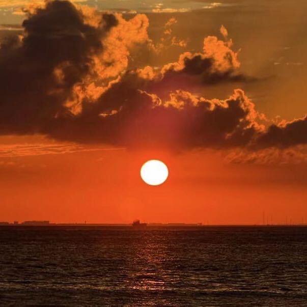 虾仁猪心￴￴￴