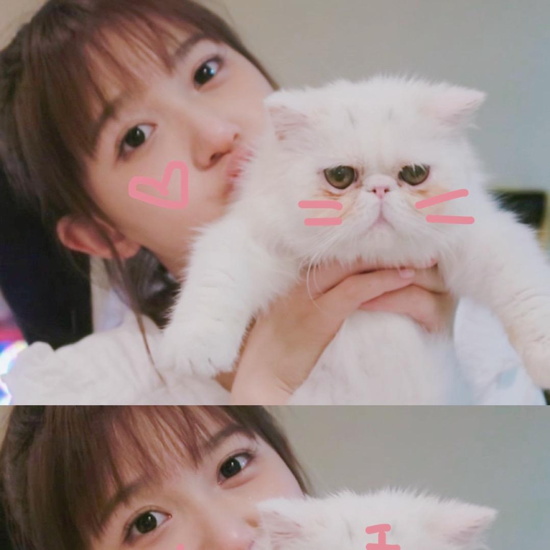 季美含
