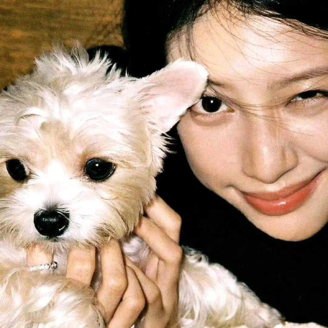 美美（减肥中）