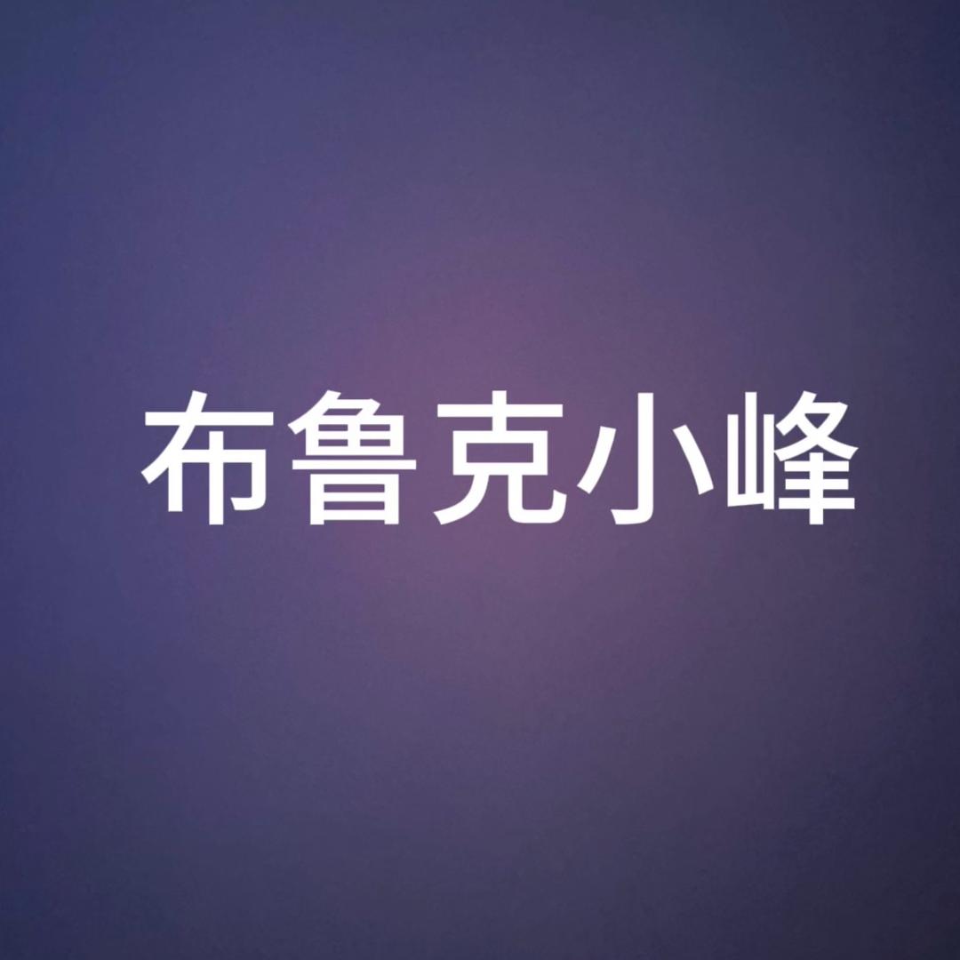 布鲁克小峰（尝试破500粉！！！）