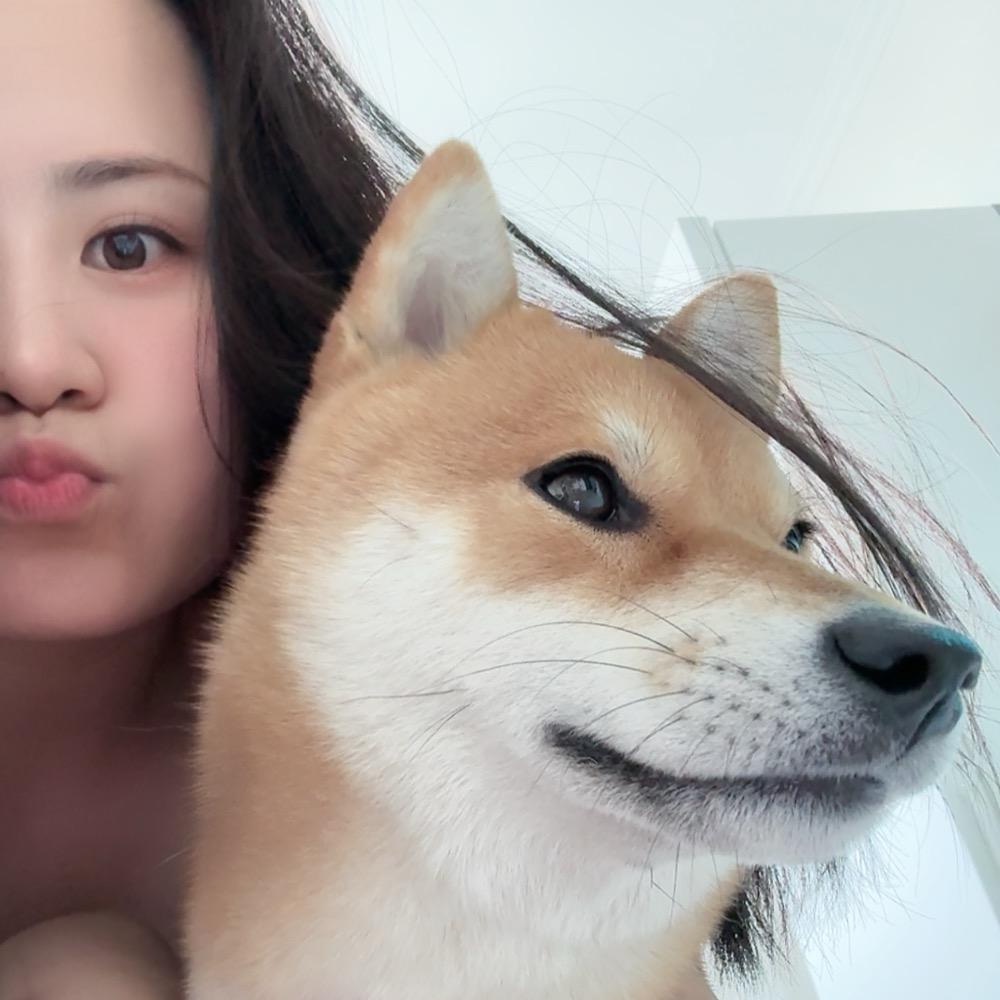 一小只柴