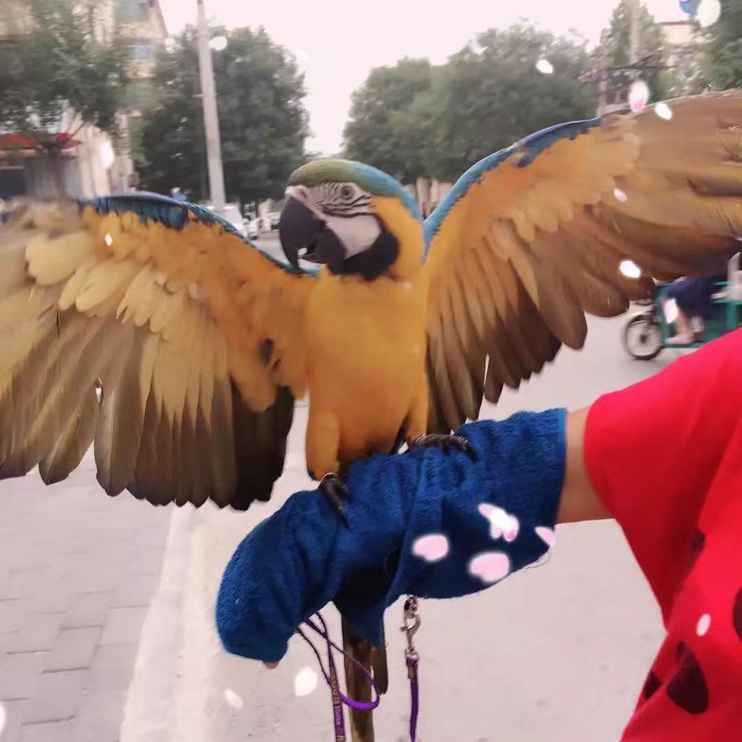笑话