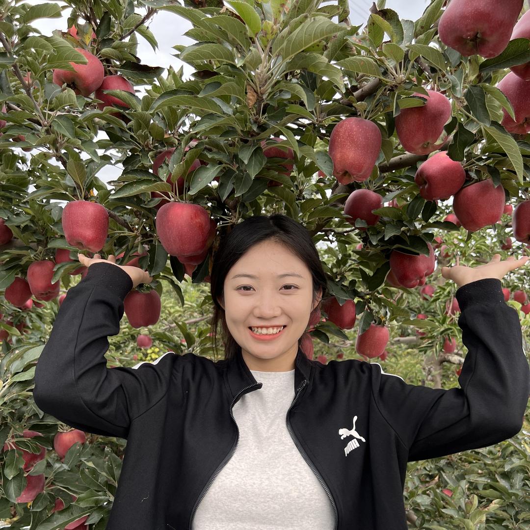果生鲜