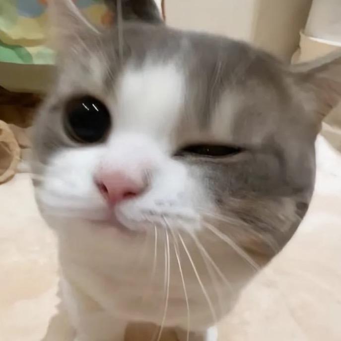 乞力马扎罗的雪